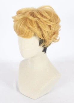 Cosplay Wig - Kyou Kara Ore Wa-Takashi Mitsuhashi -Cosplay CS 397A e