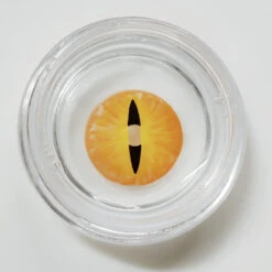 Sweety Crazy Orange Demon Eye / Cat Eye (New) -Cosplay New cat eye orange lens