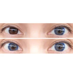 Cosplay -Cosplay royal blue c